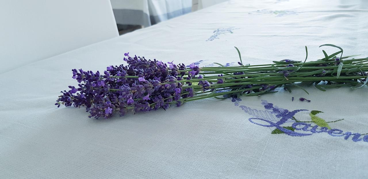 Sweet Life Wellness Apartments 에게르잘록 외부 사진
