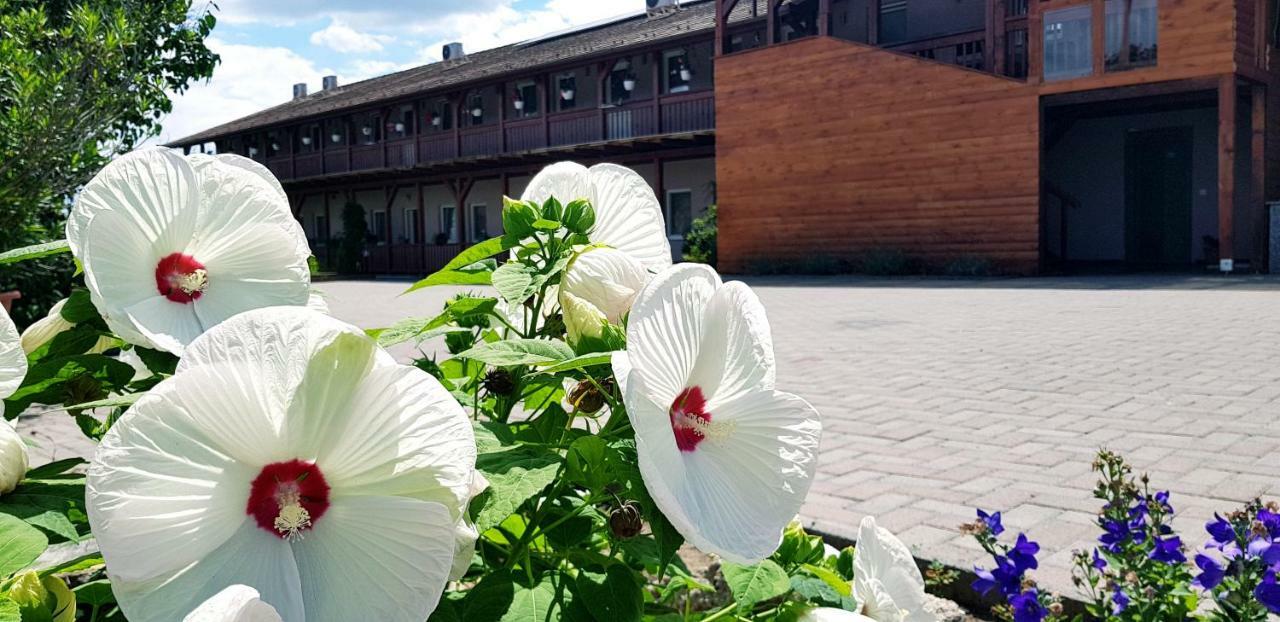 Sweet Life Wellness Apartments 에게르잘록 외부 사진